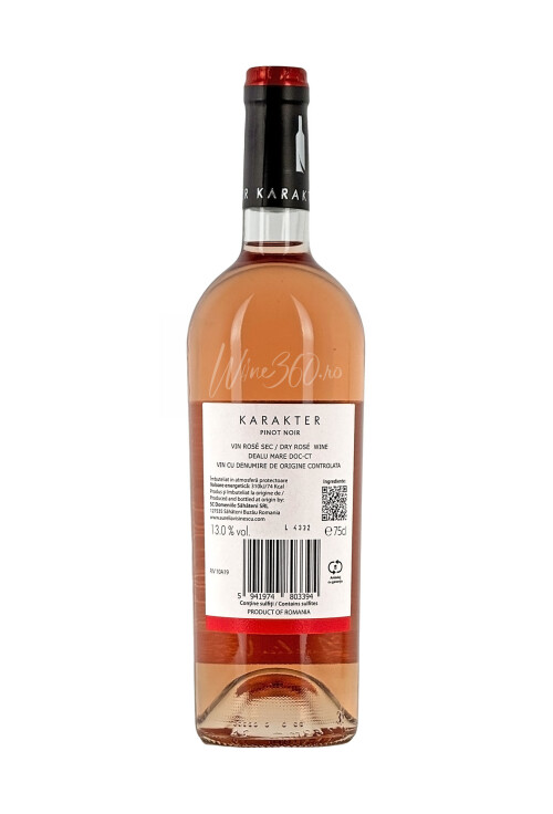 Aurelia Visinescu - Karakter Rose - 2024 - SGR