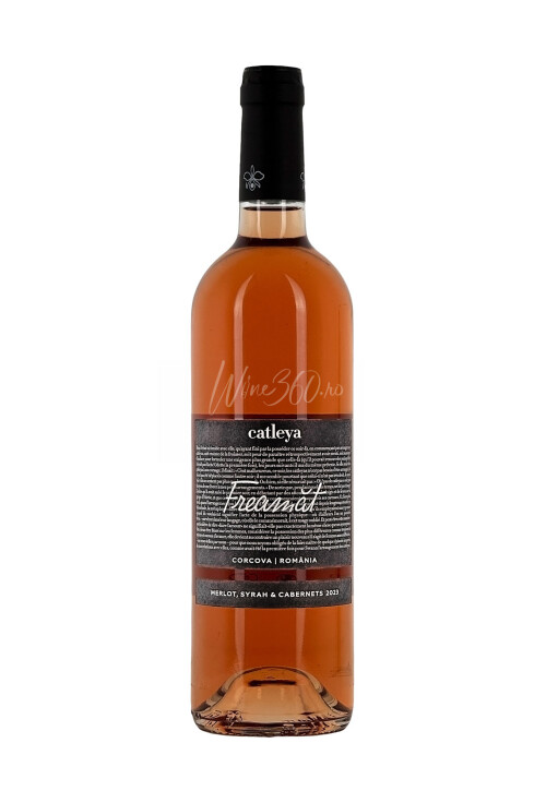 Catleya - Freamat Rose - 2023 - SGR