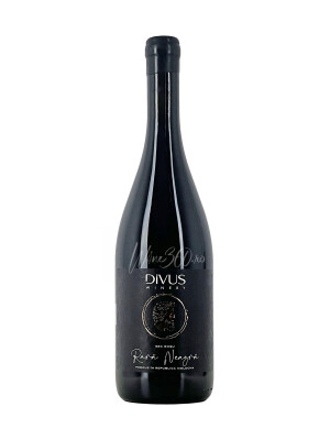 DIVUS - Rara Neagra - 2023 - SGR