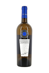Italian Tasting Pack - Falanghina, Fiano di Avellino, Aglianico, Sella Delle Spine